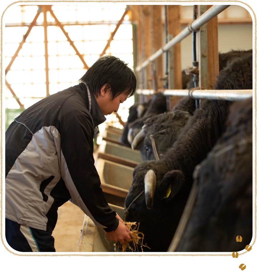 お取り寄せ 送料無料 内祝い 10％OFFクーポンあり [ 但馬牛 特選焼肉１kg ] 出産内祝い 新築内祝い 快気祝い 肉 お中元 夏 ギフト 但馬牛 しぐれ煮 コロッケ＋ 但馬牛 感動