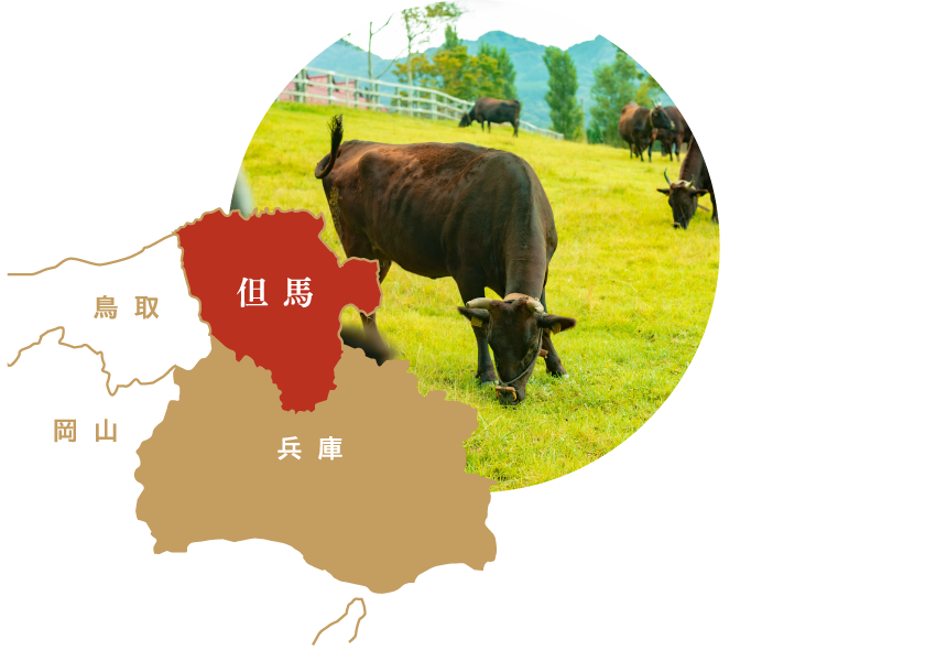 但馬地域